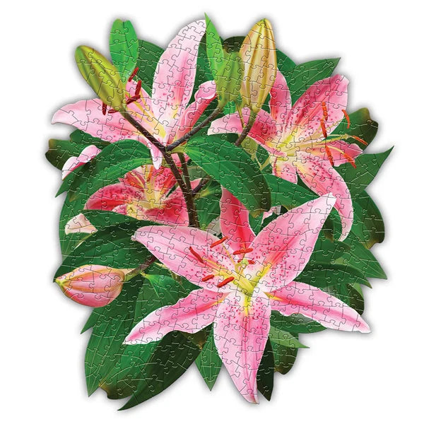 I AM Lily 350 Piece Puzzle by Madd Capp Games